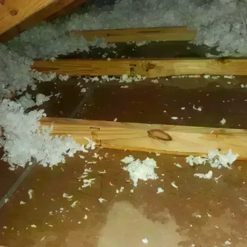 Attic Water Damage in Warren County, PA