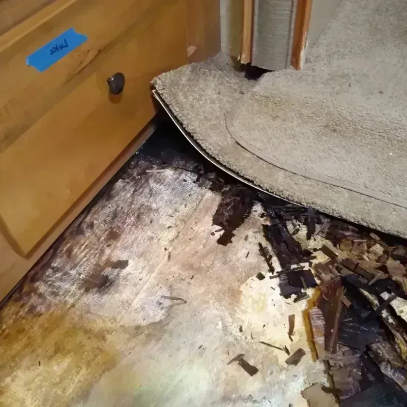 Wood Floor Water Damage in Warren County, PA